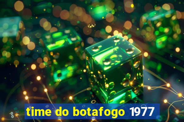 time do botafogo 1977